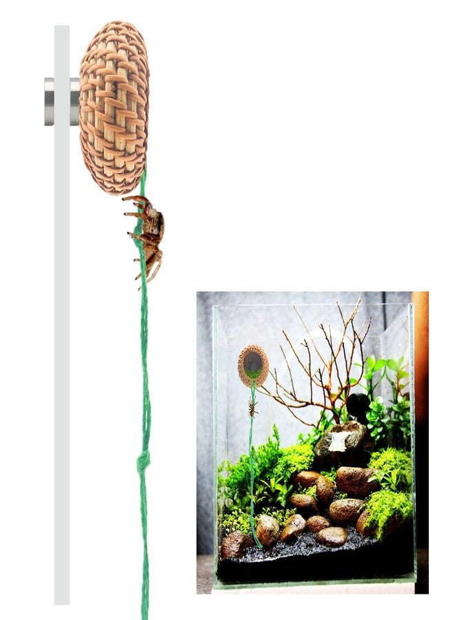 MAGNEECH 1 Pcs Jumping Spider Accessories，Shelter Made of Cane, Essential for Jumping Spider Hide, Enclosure, and Tarantula Enclosure Accessories - Image 1